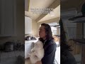 Korean Dad Meets Japanese Friend TsuchiFD Jonspec