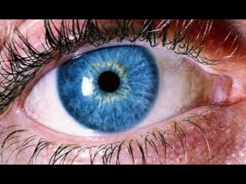 Nasze niesamowite zmysły - wzrok ^ Dokument ^ PL720p