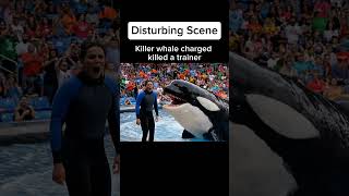 Killer Whale attacked a trainer live.