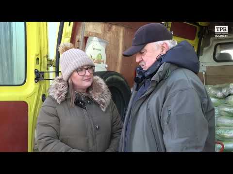 Bronisze: kosmiczne ceny kapusty czerwonej, słabe zejście ziemniaka. Jakie są ceny warzyw i owoców?