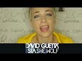 She Wolf (Falling To Pieces) - David Guetta ft ...