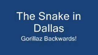 The Snake in Dallas Backwards