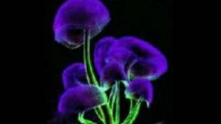 Morbid Angel Hymn To A Gas Giant