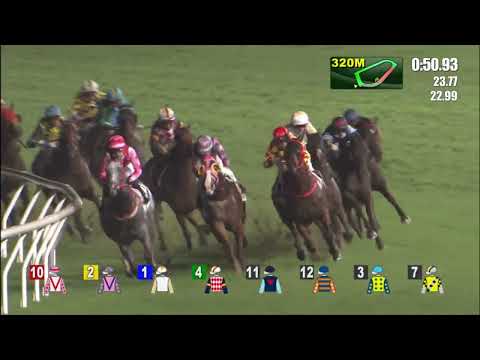 8/6/2022 (735) Stoicism - L Ferraris