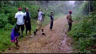 preview picture of video 'guava ( Perakka) fruit hunting at wayanad meppadi.'