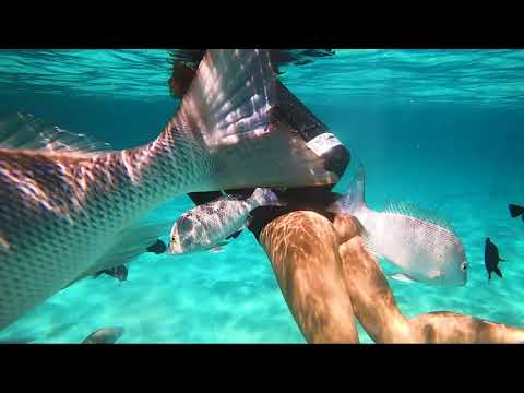 Crocpak® Antitheft and Waterproof Bag.