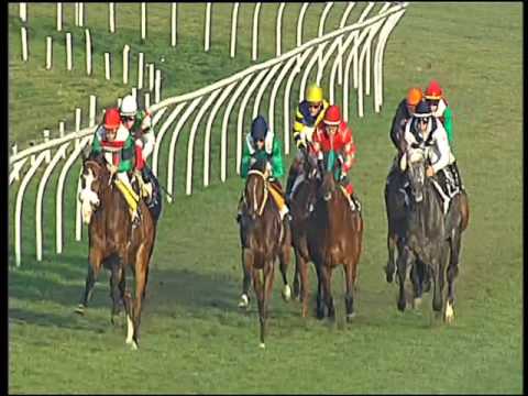 Galoppo 31/01/2016 - 4° corsa