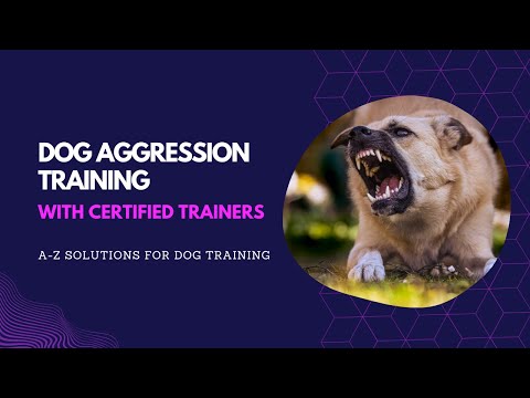 Dog Aggression Training with Certified Trainers | A-Z Solutions for Dog Training