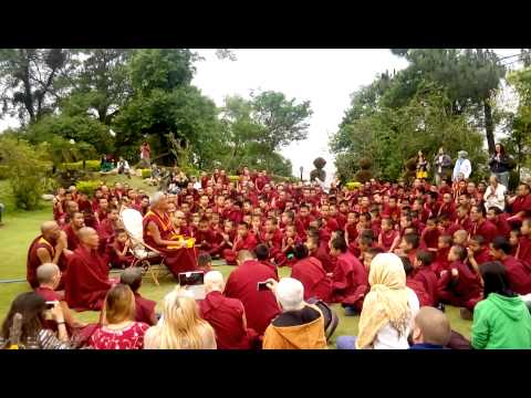 Lama is praying with the monks