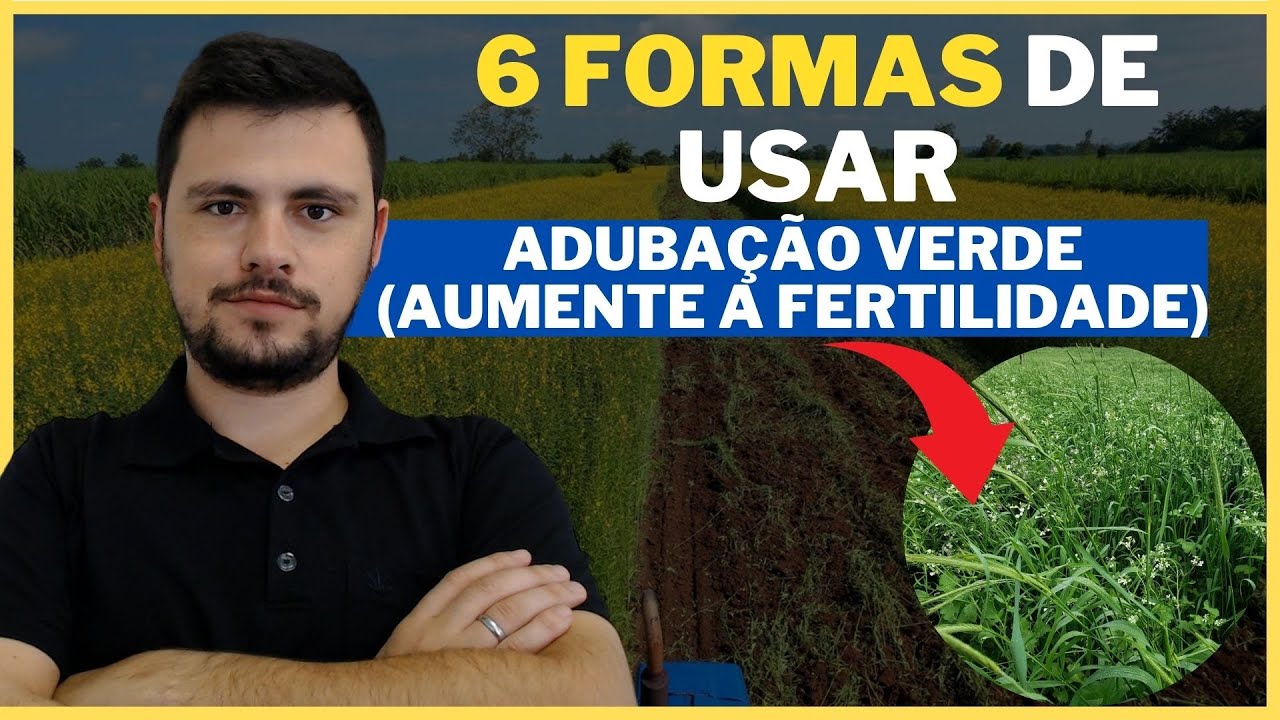 6 FORMAS DE USAR adubação verde I como fazer a implantação para melhorar a fertilidade do solo