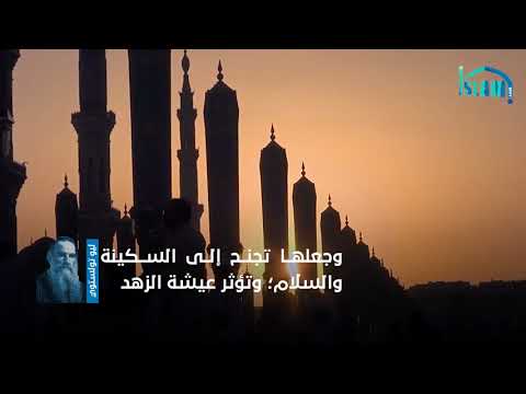 قالوا في الإسلام | ليو تولستوي