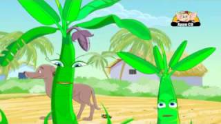 Learn About Plants - Seed Dispersal