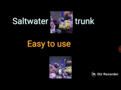 LED Text Scroller Video