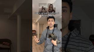 Download lagu Skinwalker Cat? 🐱 #shorts mp3 Download lagu Skinwalker Cat? 🐱 #shorts mp3