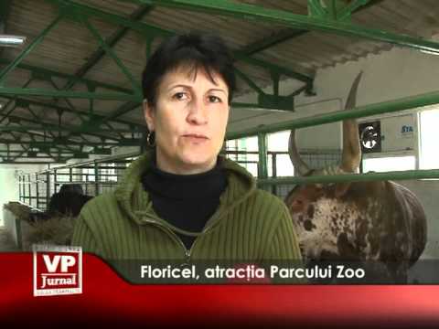 Floricel, atracția Parcului Zoo