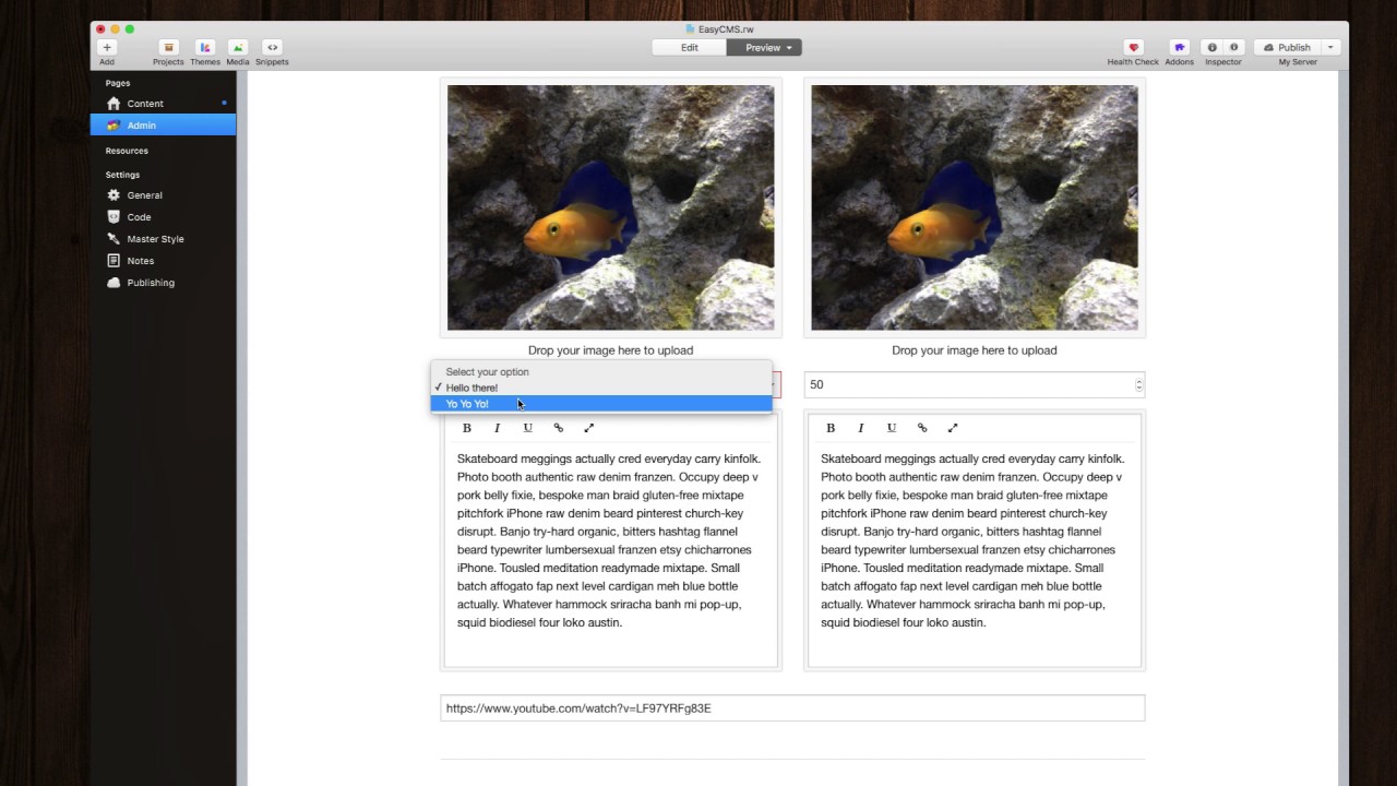 Easy CMS v1.3.0 Update for RapidWeaver