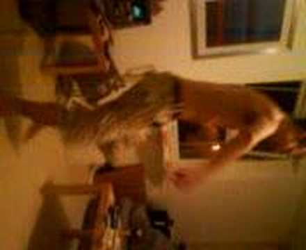 Techno Viking's nephew