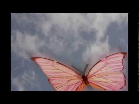 The Last Drive-Butterfly 69