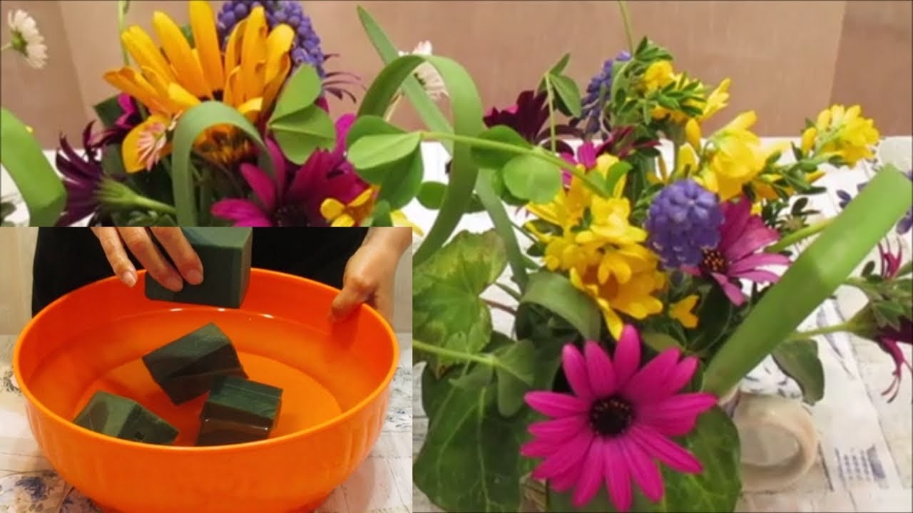 Watch Now COME BAGNARE LA SPUGNA PER FIORI RECISI COME BAGNARE LA SPUGNA PER FIORI RECISI