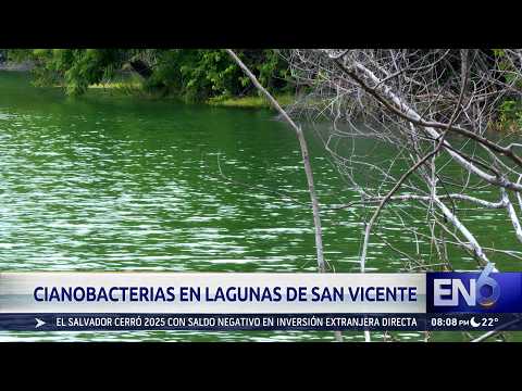 CIANOBACTERIAS EN SAN VICENTE