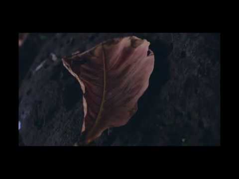 Promotional video thumbnail 2 for Yanina May Photography