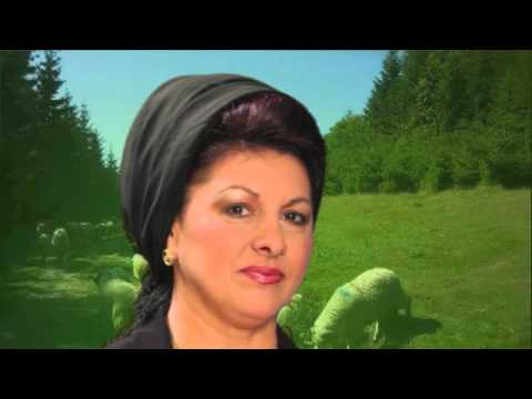 NINETA POPA - PE DRUMUL BANATULUI, ORIGINAL, ZOOM STUDIO