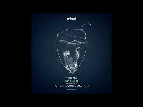 Timid Boy - Elia (Nacho Bolognani 6am Remix)