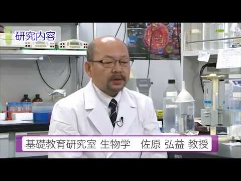 麻布大学 研究室紹介05_佐原 弘益 教授