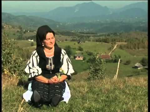 Maria DAN PAUCEAN   Ma mir codrule de tine