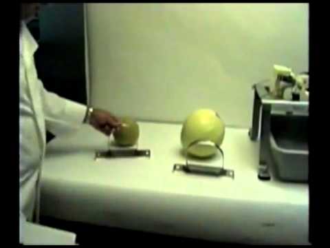 download lagu mp3 mp4 Melon Peeler, download lagu Melon Peeler gratis, unduh video klip Melon Peeler