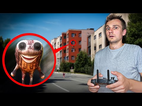 Angelina jest Uwięziona! Co za ANOMALIA! Przyjazna żaba z Zoonomaly