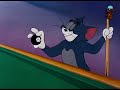 Cue Ball Cat