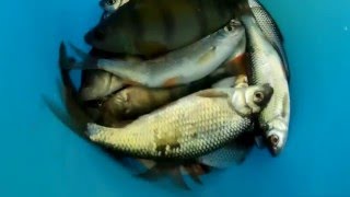 Рыбалка на озере сугояк челябинская область
