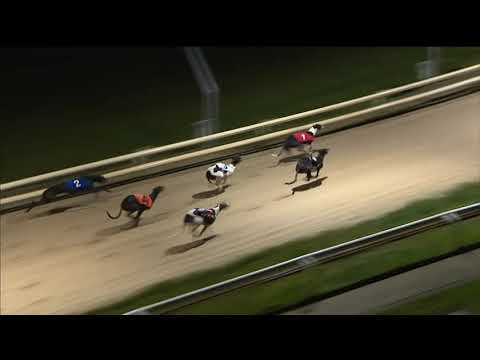 Ballymac Miscula - Coral Brighton Belle - Final