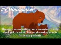Brother Bear On My Way My Top 10 Koda S