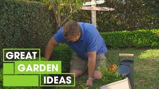 How to Fix a Gap in Your Hedge | Gardening | Great Home Ideas