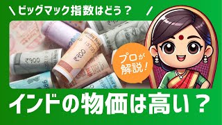 【2分で解説】インドの物価は高い？ビッグマック指数は？