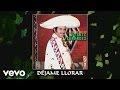 Vicente Fernández - Déjame Llorar (Audio)