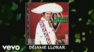 Vicente Fernández - Déjame Llorar (Audio)