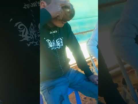 Ahí estamos tomando con mis amigos un chicha en tinku de uncia potosí Bolivia 🇧🇴🇧🇴🇧🇴🇧🇴