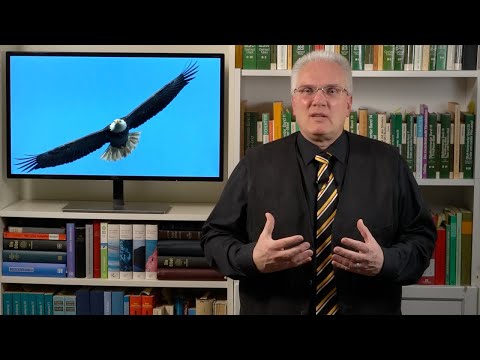 Atempause - MUT FÜR HEUTE - Jesaja 40, 31 - "Flügel ausbreiten!"