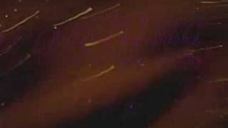 Cocteau Twins - Circling Girl