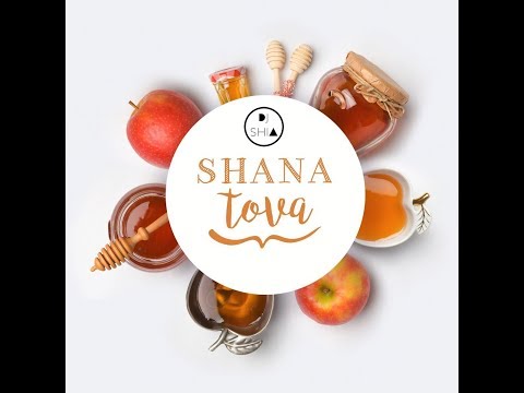 JEWISH ISRAELI DJ | NEW YORK | YEAR IN REVIEW | SHANA TOVA 5779