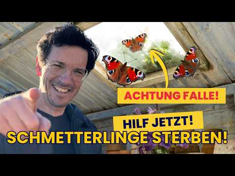 Jetzt erste Schritte machen!