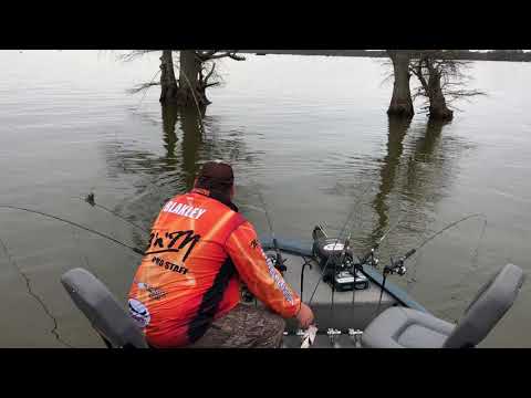 Spider Rigging for Spring Crappie