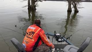 Spider Rigging for Crappie