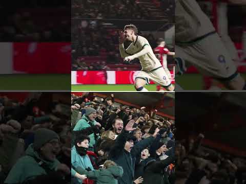 1500 Lions ROAR in Bristol 🦁