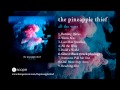 The Pineapple Thief - Give it Back (from All The ...