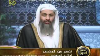منوعات 18 تفسير سور المفصل قناة درة آيات الصيام 30/7/2011