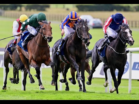 The Irish Stallion Farms Ebf Maiden 2024: Swagman